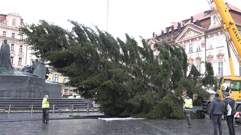 Z vánočního stromu v Praze budou charitativní stoly i potrava pro zvířata